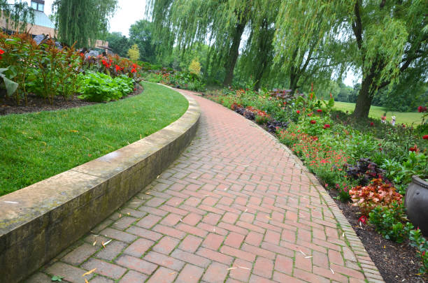 istock Flower Blooming and plants in pathway 2155926315