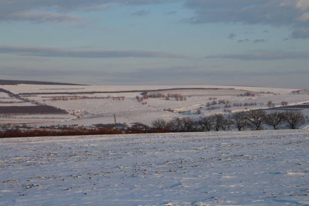 istock A snowy landscape with trees and a blue sky 2155930181