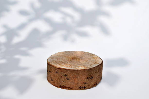istock Wooden cut platform with tree twigs shadows 2155931247