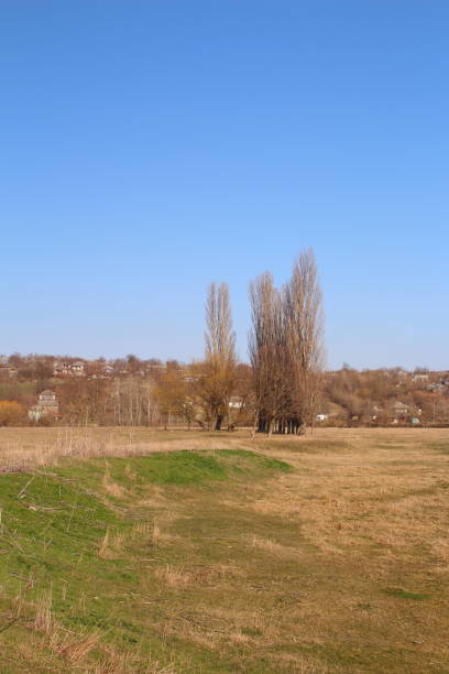 istock A field with trees and buildings in the background 2155931549