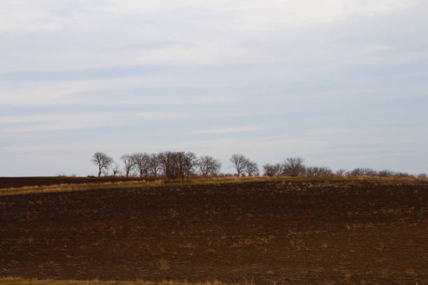 istock A field with trees in the background 2155932304