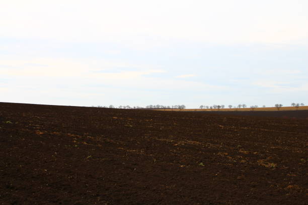 istock A field with a few trees in the background 2155932308