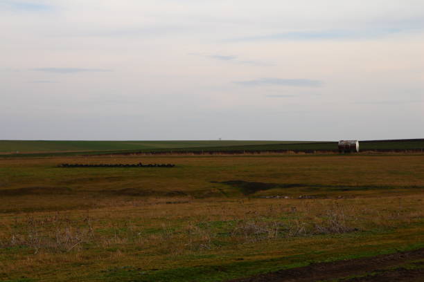 istock A field with a house in the distance 2155932313