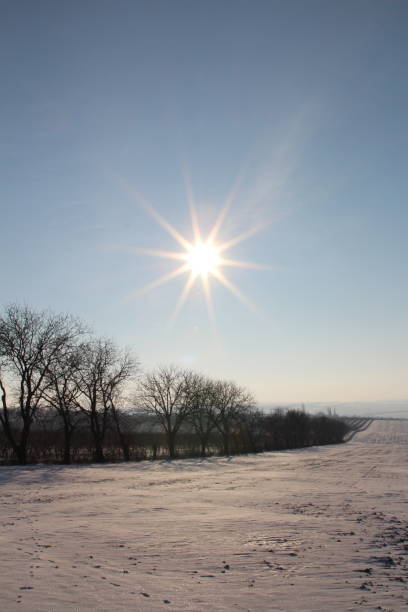 A snowy field with trees and a bright sun in the sky. Outdoor. Sky. Nature. Shore. Day