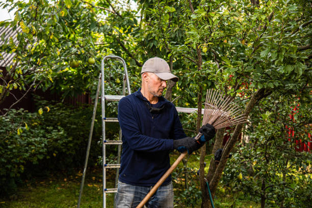 istock Midle age men working in the privat farmyard 2155934183