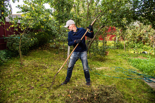 istock Midle age men working in the privat farmyard 2155934187