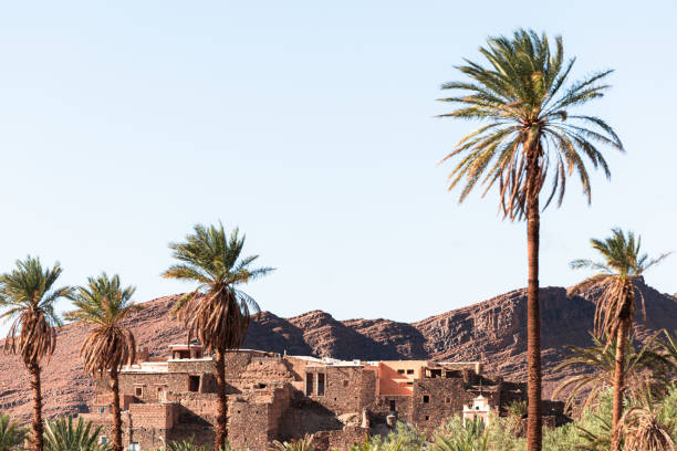 istock Oasis in the rocky desert of Morocco 2155935656
