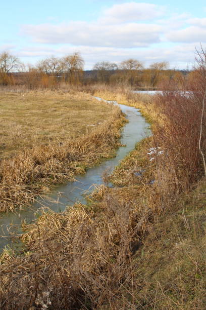 istock A stream of water surrounded by grass 2155936491