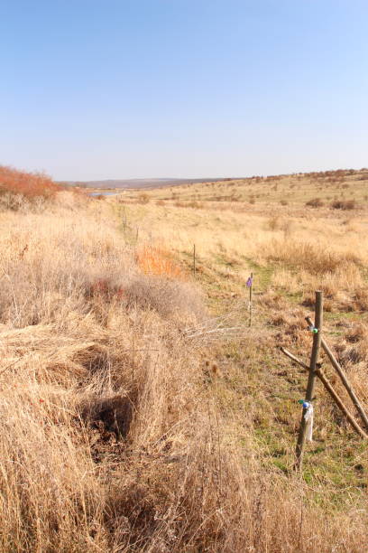 istock A grassy field with a fence 2155937766
