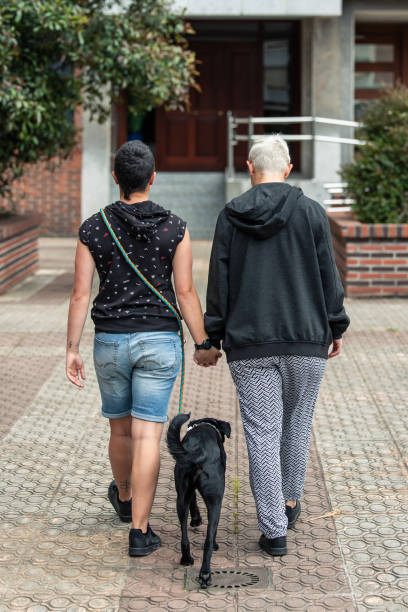 istock vertical Lesbian couple holding hands while walking with their dog 2155937967