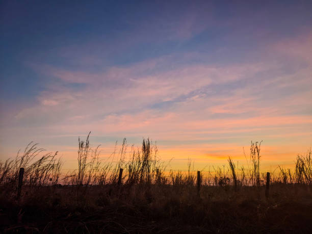 istock Nature landscape with colorful clouds and plants 2155943653