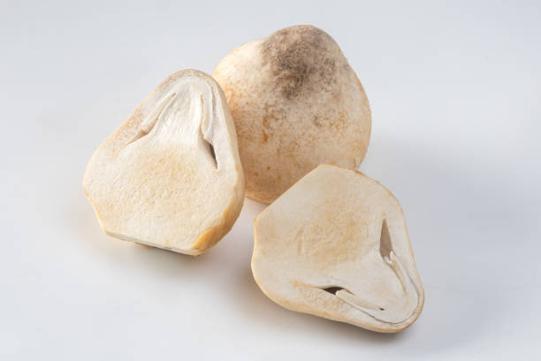 istock Straw mushroom isolated on white background 2155943909