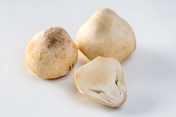 istock Straw mushroom isolated on white background 2155943915