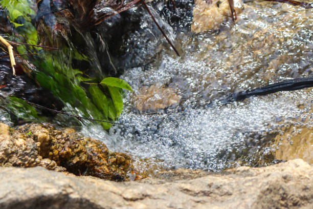 River with rocks and trees around it convey tranquility for camping