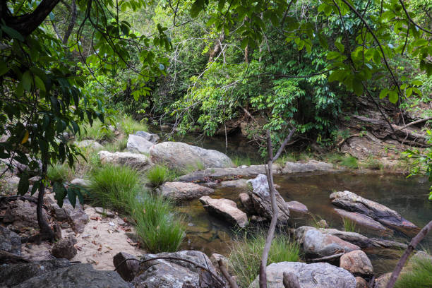 istock River with rocks and trees around it convey tranquility for camping 2155945364
