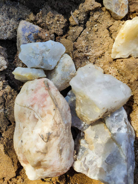 scattered rocks and twigs with dirt as a background