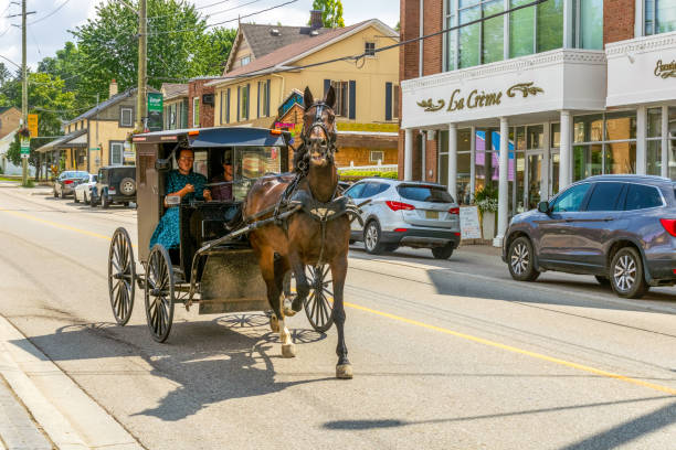 Lancaster, PA / USA - 07/19/2013: Amish woman riding a wagon along the road