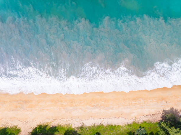 istock Top view beach with waves crashing on sandy shore,Beautiful waves sea surface in summer seascape background,Amazing beach colorful water background 2155948887