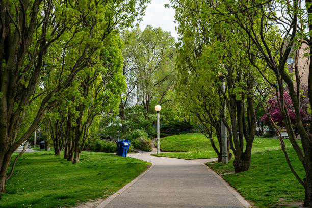 istock Little Norway Park on Toronto Harbourfront. 2155954653