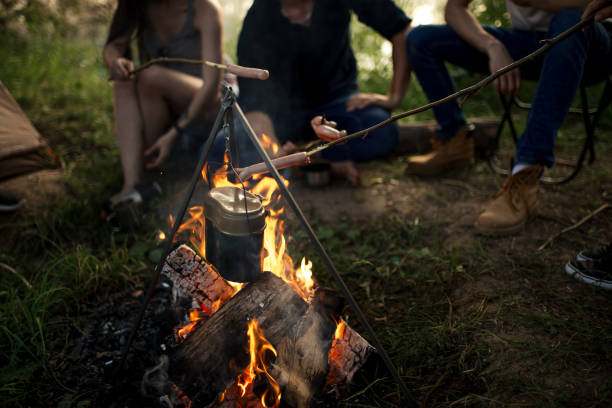 istock beautiful campfire in the picturesque place 2155957570