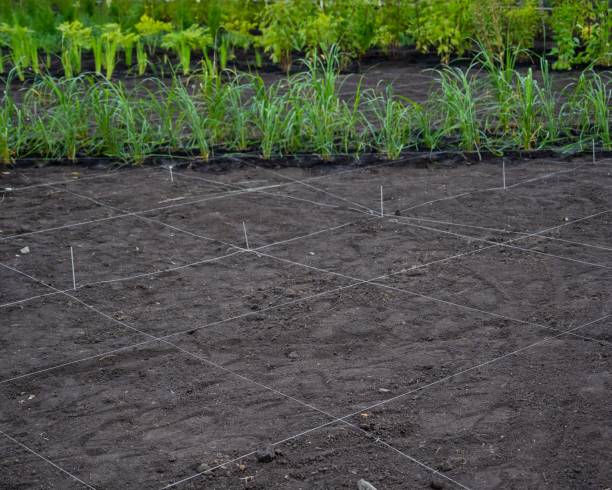 istock Landscaping. A lined plot of land for planting ornamental plants. 2155958195