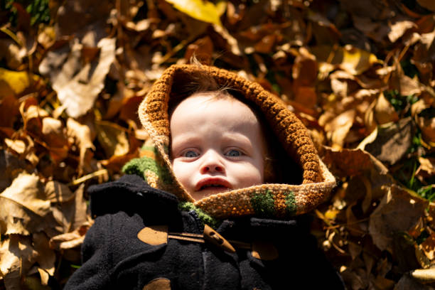 istock Baby lying on autumn leaves looking at camera 2155959069
