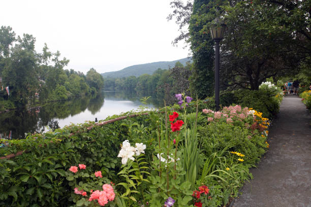 istock Flowers along the Connecticut River in Massachusetts 2155959646
