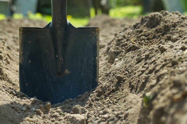 istock Spade is embedded in the ground, surrounded by well tended soil 2155962219