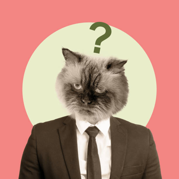 Baffled business cat with question mark
