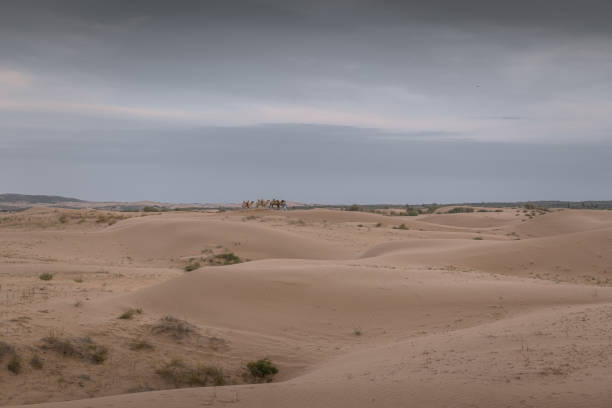 The Badain Jaran Desert is a desert in China which spans the provinces of Gansu, Ningxia and Inner Mongolia. By size it is the third largest desert in China, black and white
