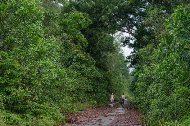 Two Asian female friends walking in nature in a rainforest.