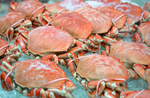 istock Frozen cooked crab on the ice for sale 2155969272