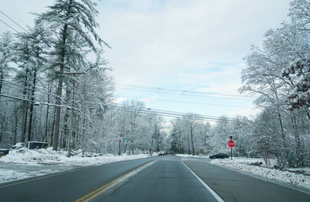 perspective view of road and trees in winter