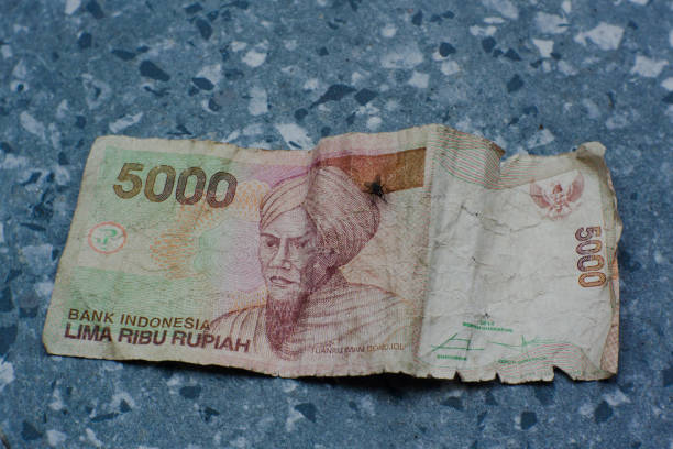 istock Abandoned sheets of worn and torn banknotes 2155969868