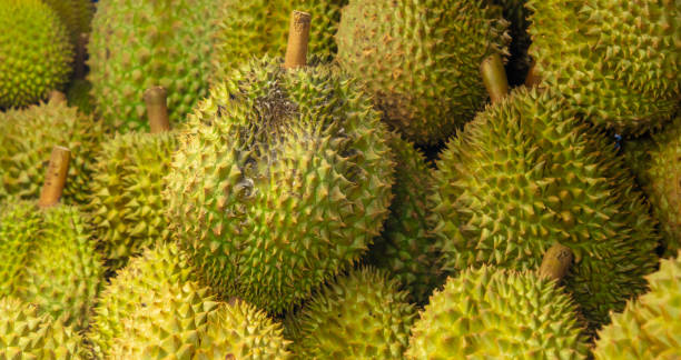 istock Durians on the market as a background 2155973171