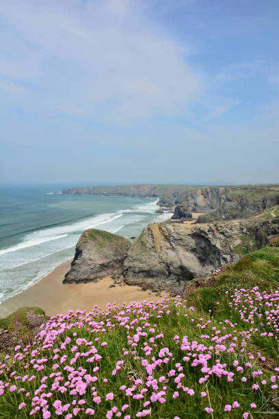 istock Bedruthan Steps clifftop view at low tide in Cornwall, UK 2155976327