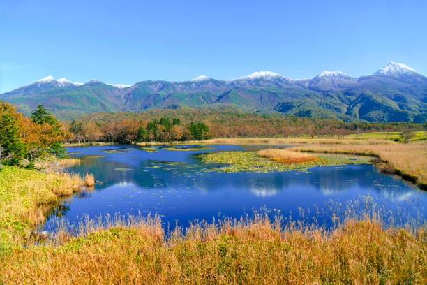 shiretoko goko lakes (shiretoko five lakes) and shiretoko mountains with autumn leaves, shiretoko, hokkaido, japan. - cinco lagos de shiretoko fotos fotografías e imágenes de stock