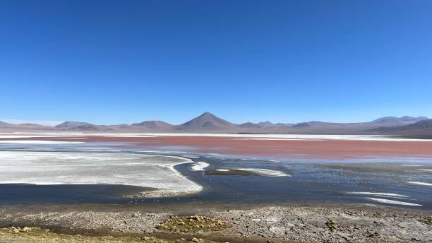 istock Chilean desert in South America 2155977299