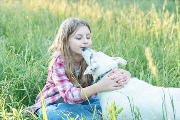 A child with a dog in nature, girl playing with a dog on green grass