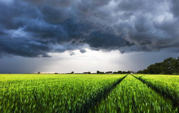 istock Dark rain cloud with storm over a green field with path 2155980547
