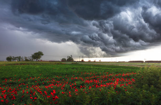 Dark rain cloud with storm over a green field with path