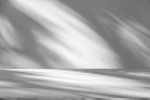 istock Wall interior background, studio and backdrops show products.with shadow from window color white . background for text insertion and presentation product 2155980815