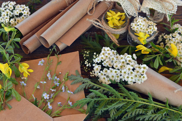 Mystic still life with healing herbs, paper scrolls and witchy ritual objects on old table. Occult, esoteric, wicca and divination concept.