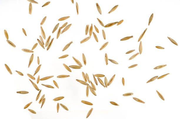 Oat flakes isolated on white background