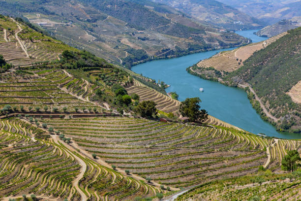 istock douro river valley near Pinhao 2155985478