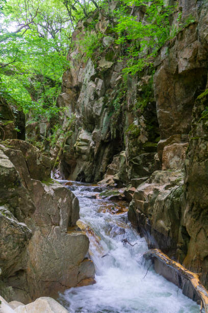 istock A mountain river flowing along rapids between rocks ends in a waterfall. Rocks and trees around 2155986133