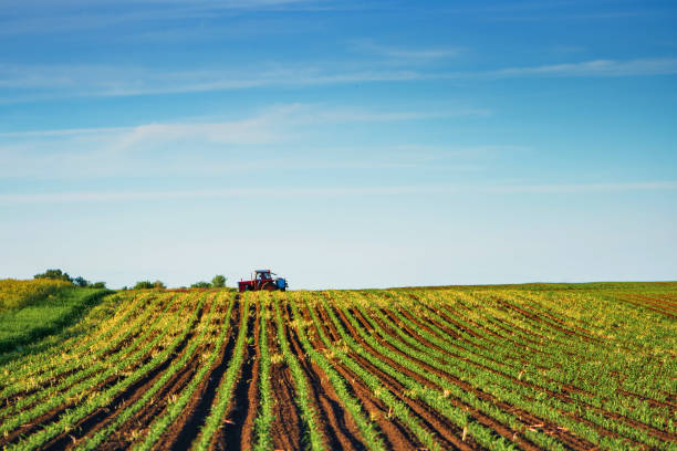 Rear view of farmer planting seeds with tractor and seed drill in rural field at sunset