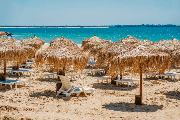 Straw umbrellas at beach. No people, sunny beach with parasols, summer vacation concept