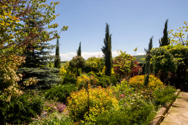 istock Garden in house yard 2155995195