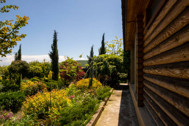 istock Garden in house yard 2155995244